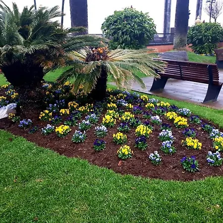 Holiday La Laguna Tenerife *